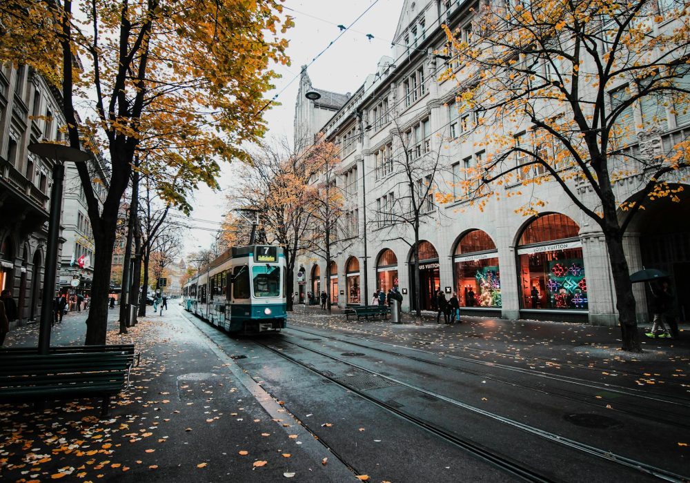 pexels-hebaysal-773471 (1)