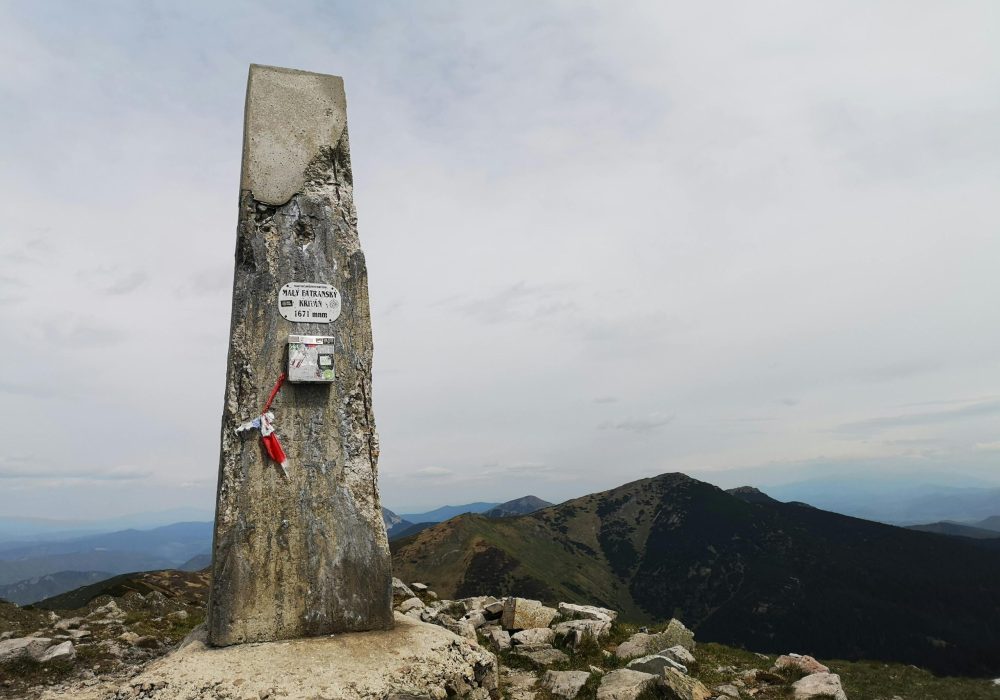 pexels-viliamphotography-32250409